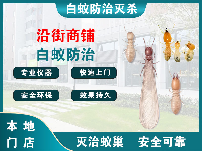 浙江沿街商铺白蚁防治