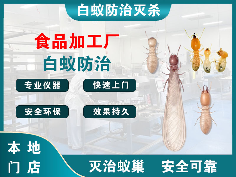 浙江食品加工厂白蚁防治