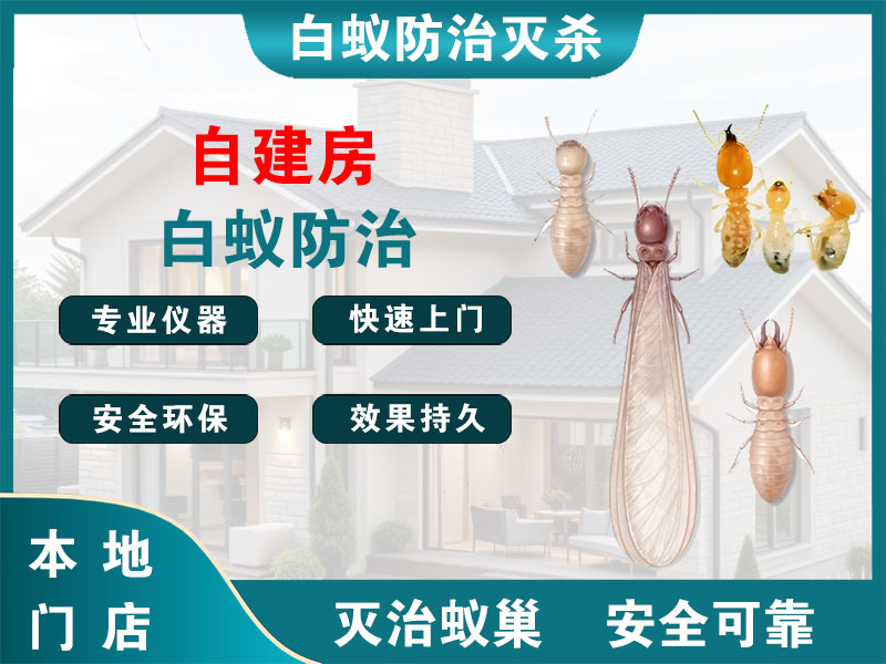 浙江自建房白蚁防治