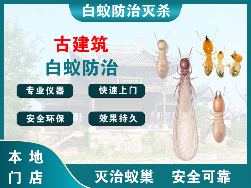 浙江古建筑白蚁防治