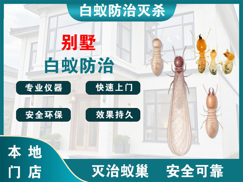 浙江别墅白蚁防治
