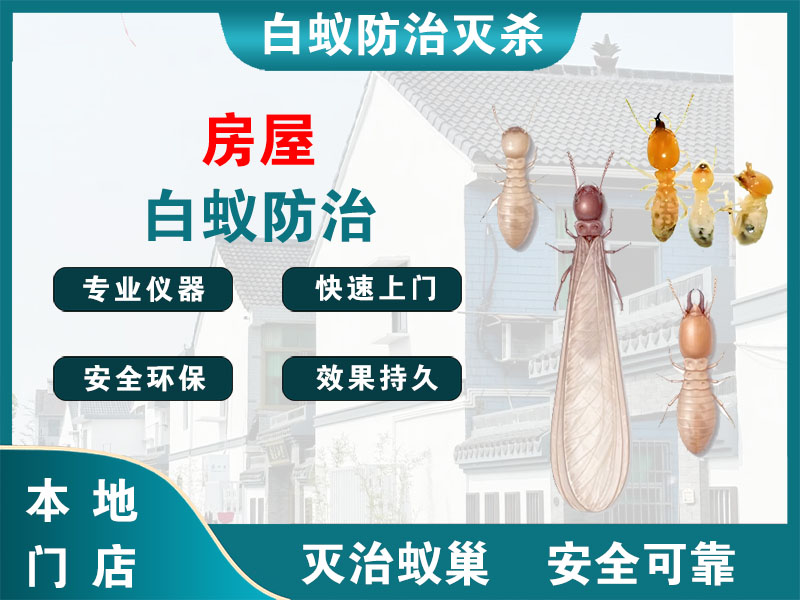 浙江房屋白蚁防治